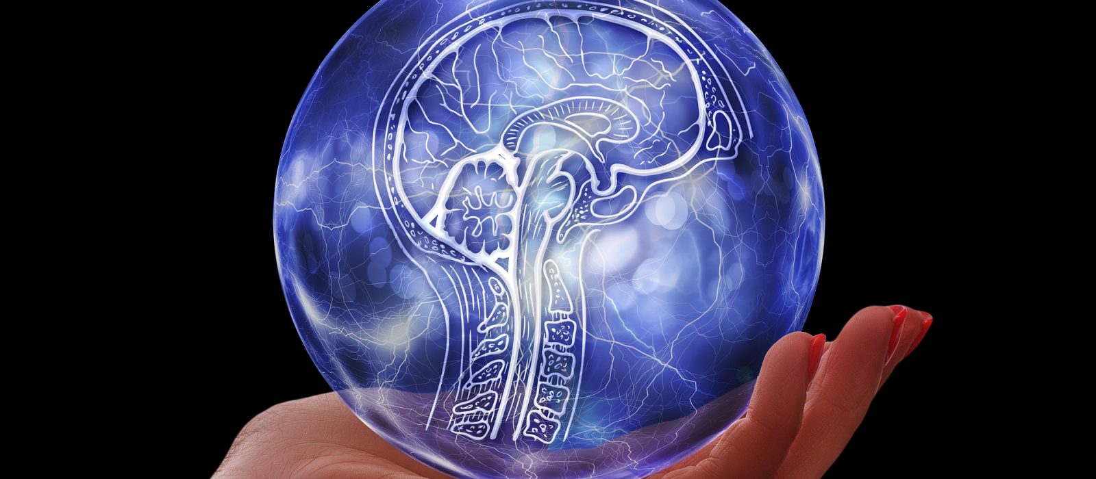 Entenda a Conexão Cérebro – Intestino